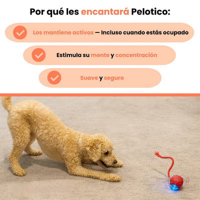 PELOTAVIVA - Pelota de aventura interactiva para tus perro