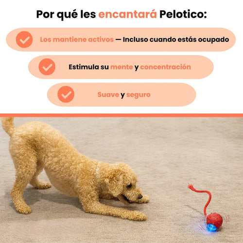 PELOTAVIVA - Pelota de aventura interactiva para tus perro