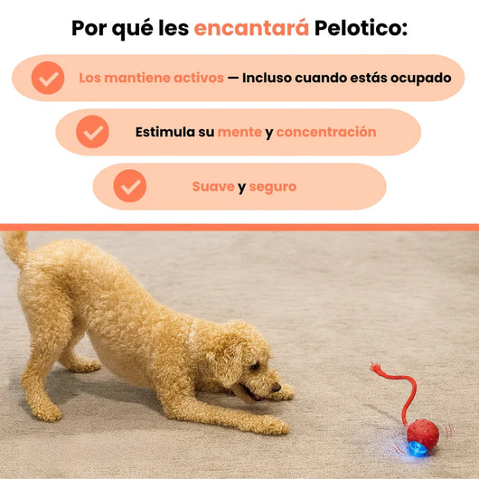 PELOTAVIVA - Pelota de aventura interactiva para tus perro