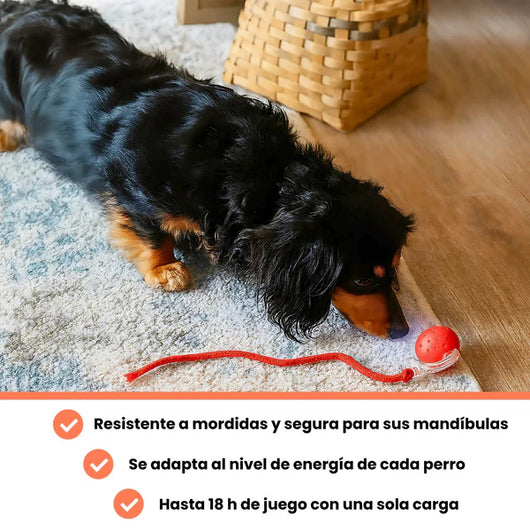 PELOTAVIVA - Pelota de aventura interactiva para tus perro