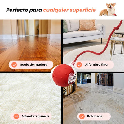 PELOTAVIVA - Pelota de aventura interactiva para tus perro