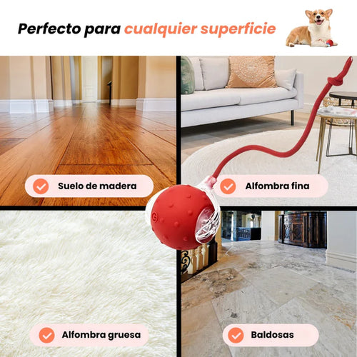 PELOTAVIVA - Pelota de aventura interactiva para tus perro