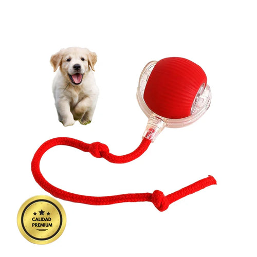 PELOTAVIVA - Pelota de aventura interactiva para tus perro