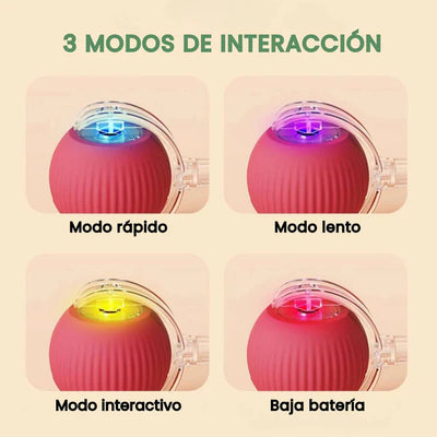 PELOTAVIVA - Pelota de aventura interactiva para tus perro