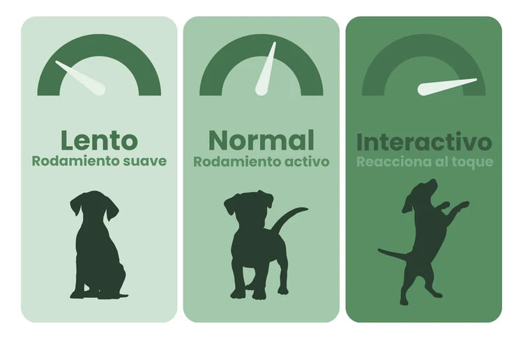 Tres ritmos que se adaptan a su energía
